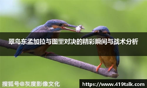 翠鸟东孟加拉与图里对决的精彩瞬间与战术分析